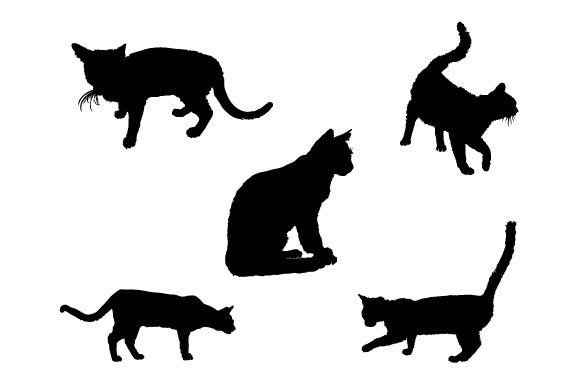 Cat Vector Graphic Design Review